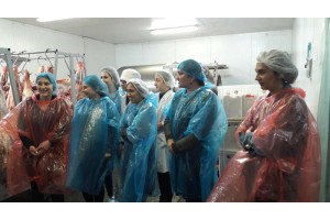 Производство мясокомбината «ДюбуА» посетили студенты СК ГМИ