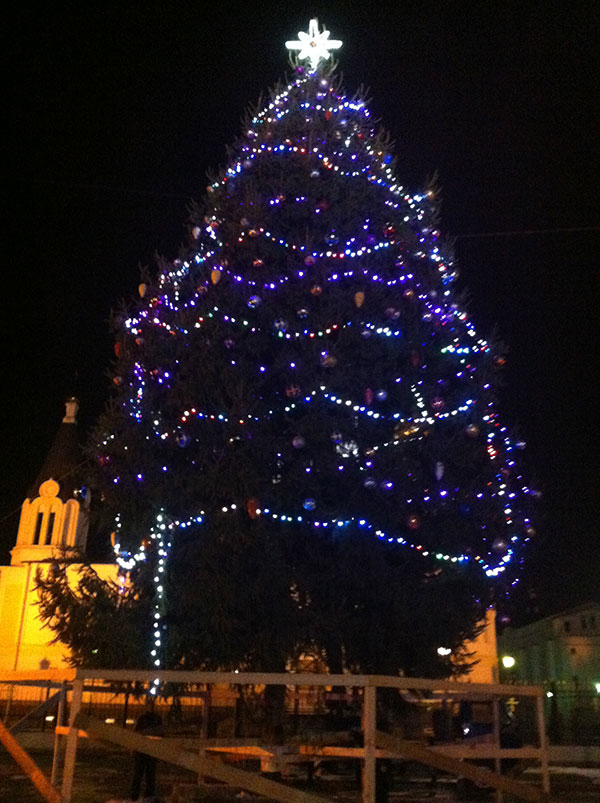 Перед Свято-Георгиевским собором установлена новогодняя елка